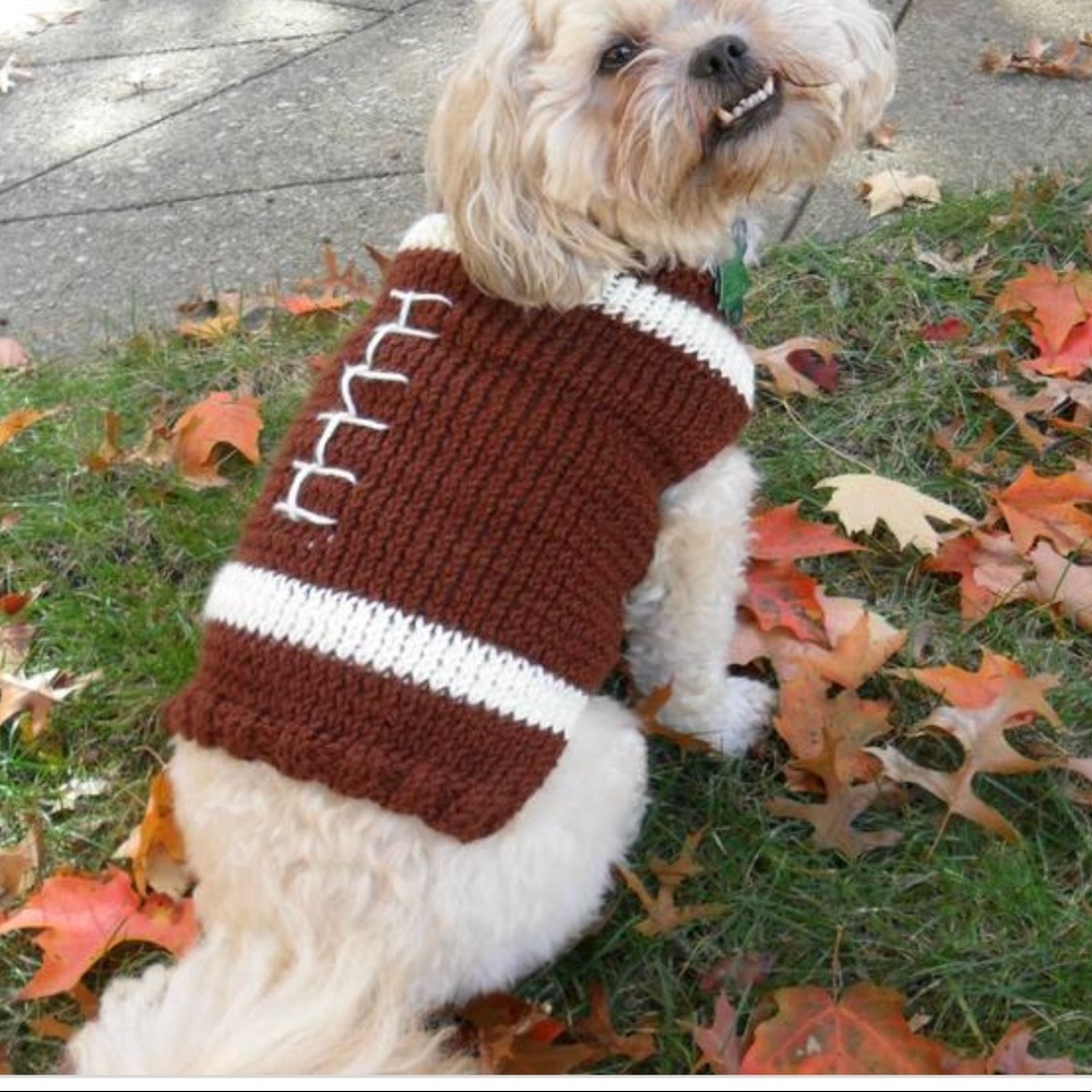 dog sweater american football 🐕🏈